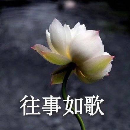 适合家庭群的头像图片精选_7