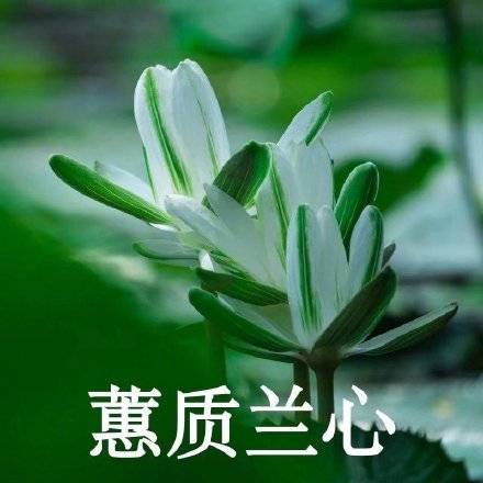 适合家庭群的头像图片精选_6
