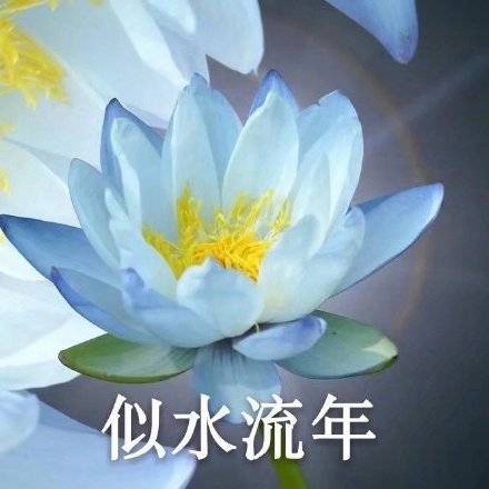 适合家庭群的头像图片精选_5