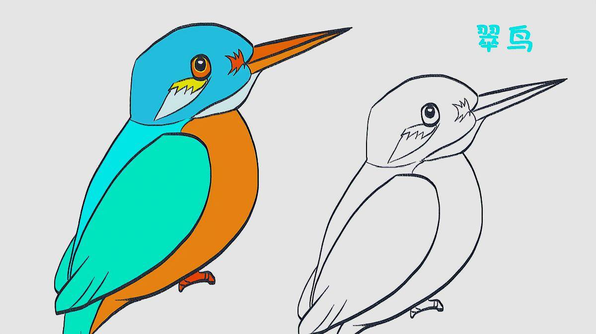 绿色水鸟翠鸟彩色简笔画图片大全_3