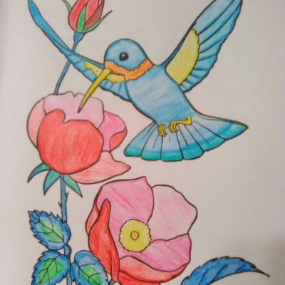 简单彩色蜂鸟简笔画图片大全