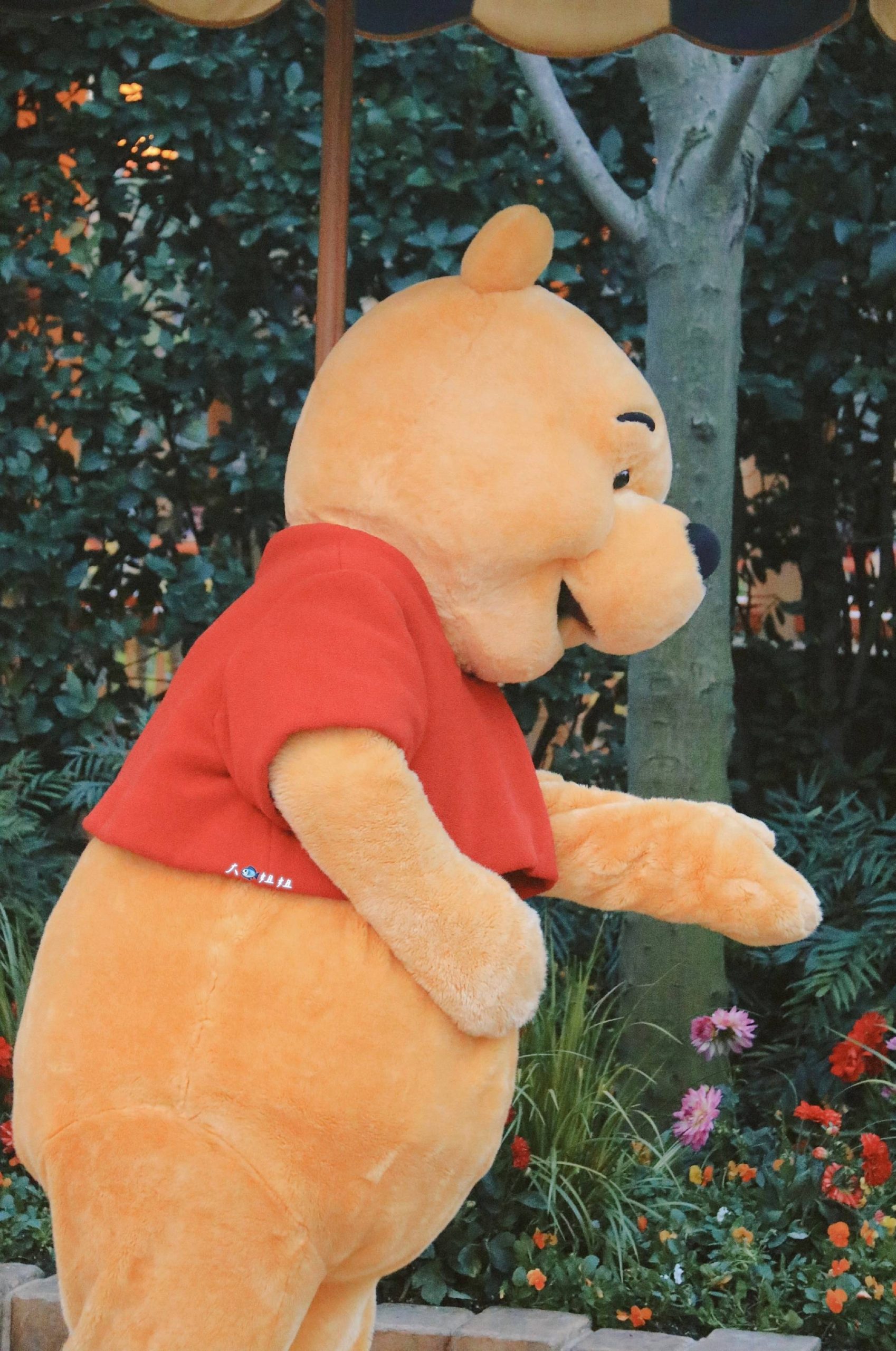迪士尼小熊维尼人偶高清图片精选_3