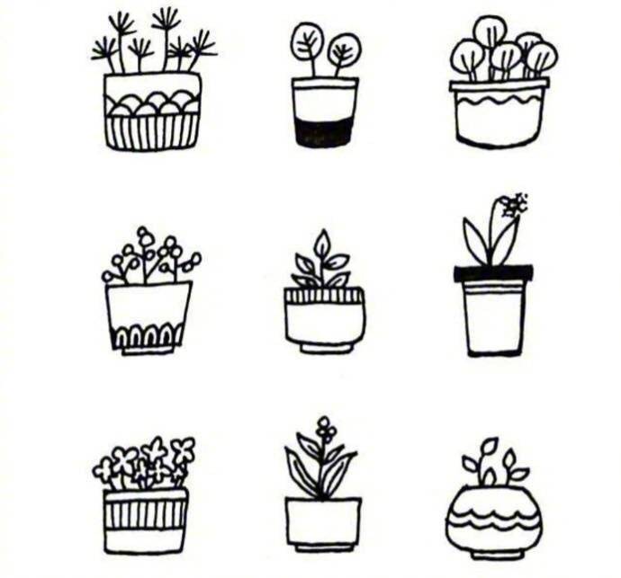 黑白色小花小草简笔画图片大全_5