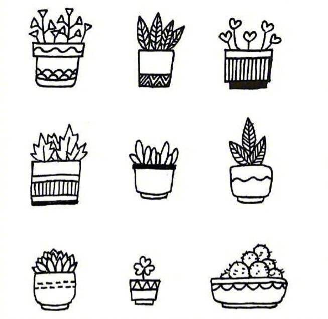 黑白色小花小草简笔画图片大全_2