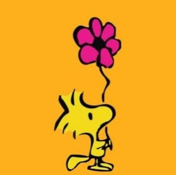 史努比好朋友小黄鸟简笔画图片大全_7