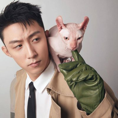 黄景瑜抱无毛猫高清写真图片精选