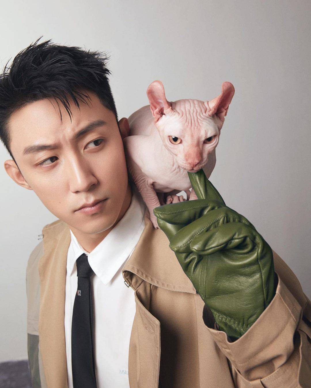 黄景瑜抱无毛猫高清写真图片精选_8