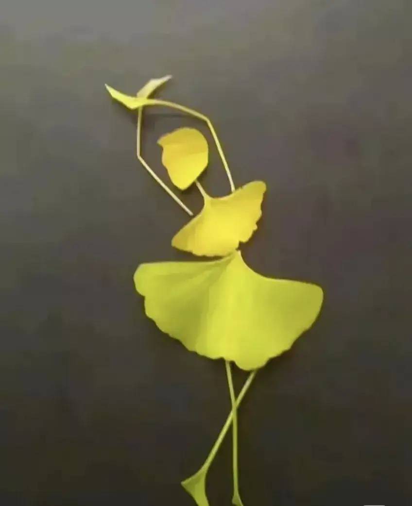 银杏树叶做跳芭蕾舞的女孩 树叶粘贴画作品_6