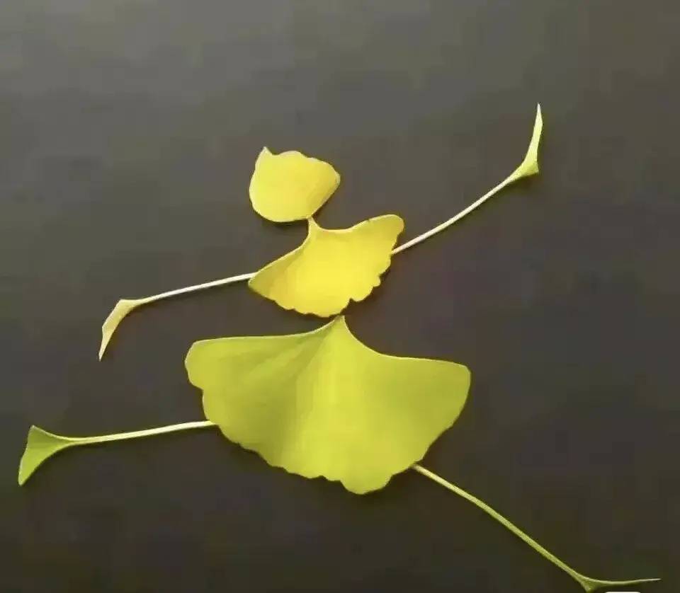 银杏树叶做跳芭蕾舞的女孩 树叶粘贴画作品_5