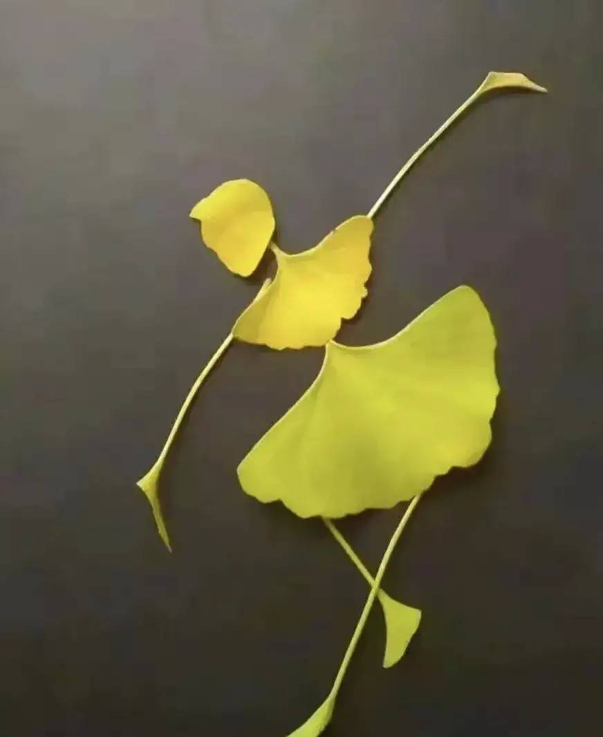 银杏树叶做跳芭蕾舞的女孩 树叶粘贴画作品_3