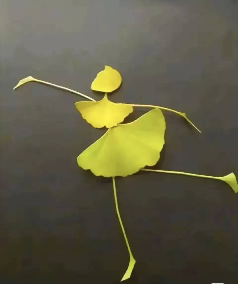 银杏树叶做跳芭蕾舞的女孩 树叶粘贴画作品_2