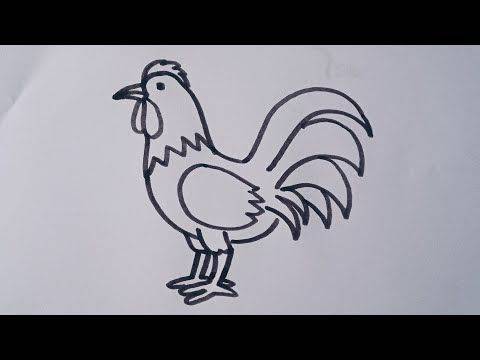 会打鸣的大公鸡黑白简笔画图片大全_5