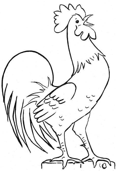 会打鸣的大公鸡黑白简笔画图片大全_2