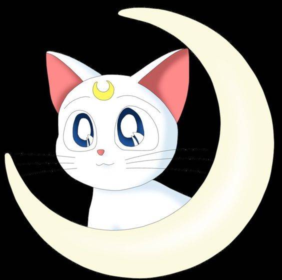 美少女战士头像闺蜜头像一人一张 角色大全_6