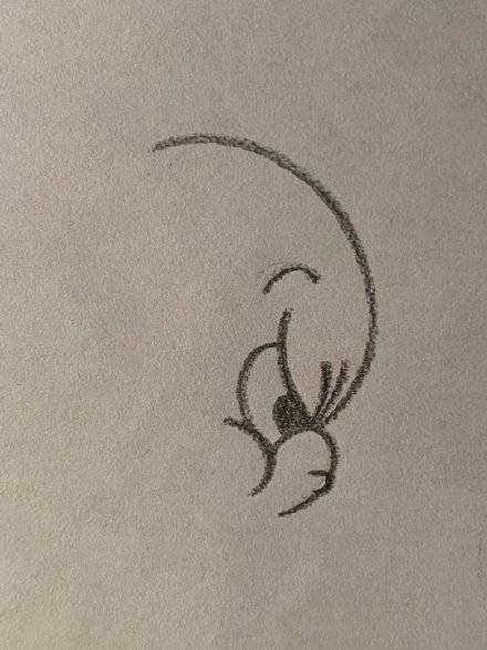 动画片《猫和老鼠》老鼠Jerry杰瑞简笔画画法教程图片_2