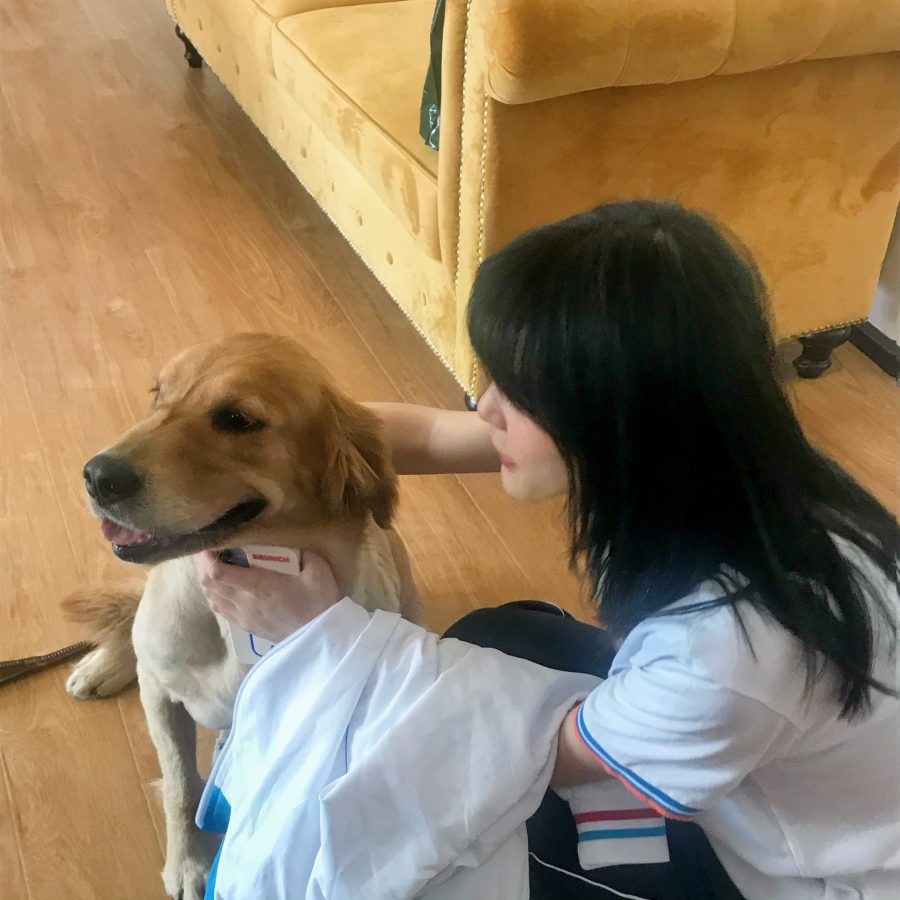 可爱甜美小姐姐头像真人_3