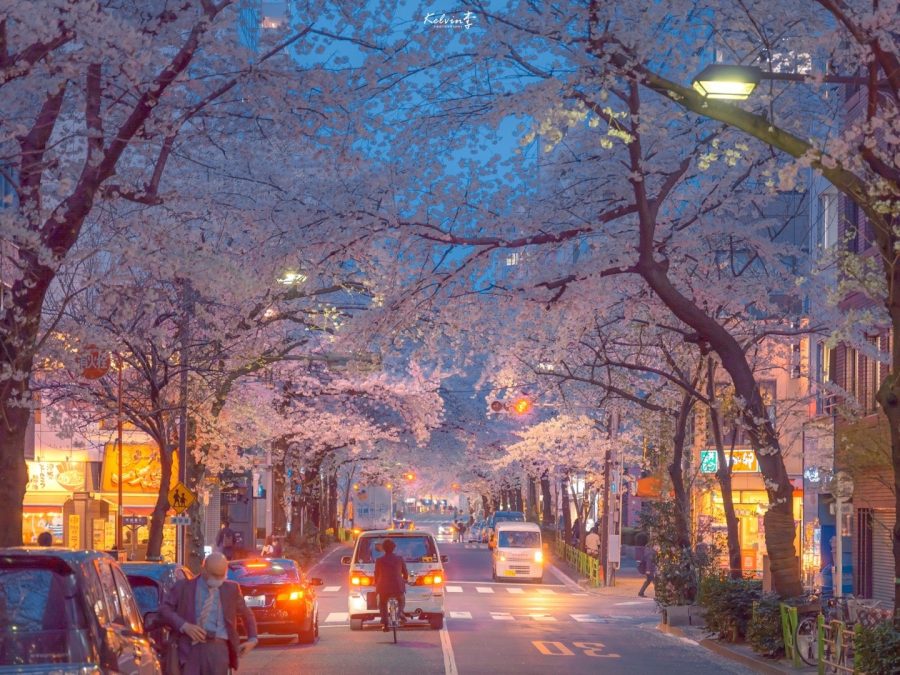 傍晚太阳落山下的日本暮色街头唯美舒心图_11
