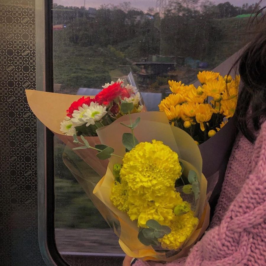 浪漫鲜花玫瑰花头女生头像_3
