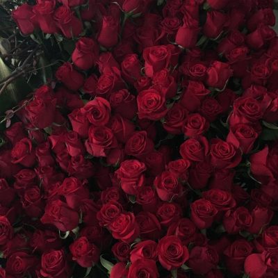 浪漫鲜花玫瑰花头女生头像