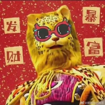 西游记花皮豹子精金钱豹头像，招财微信头像
