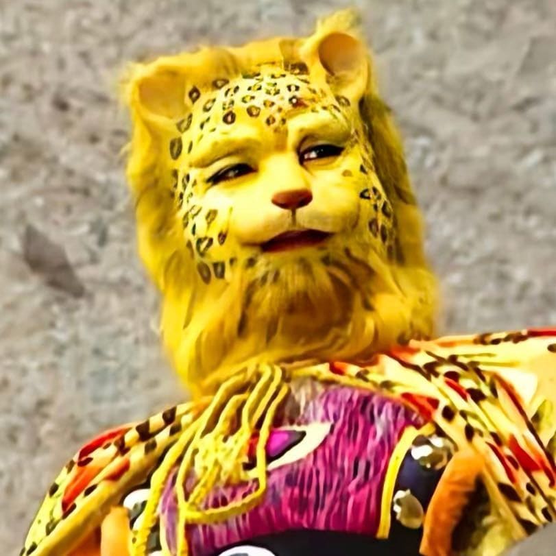 西游记花皮豹子精金钱豹头像，招财微信头像_2