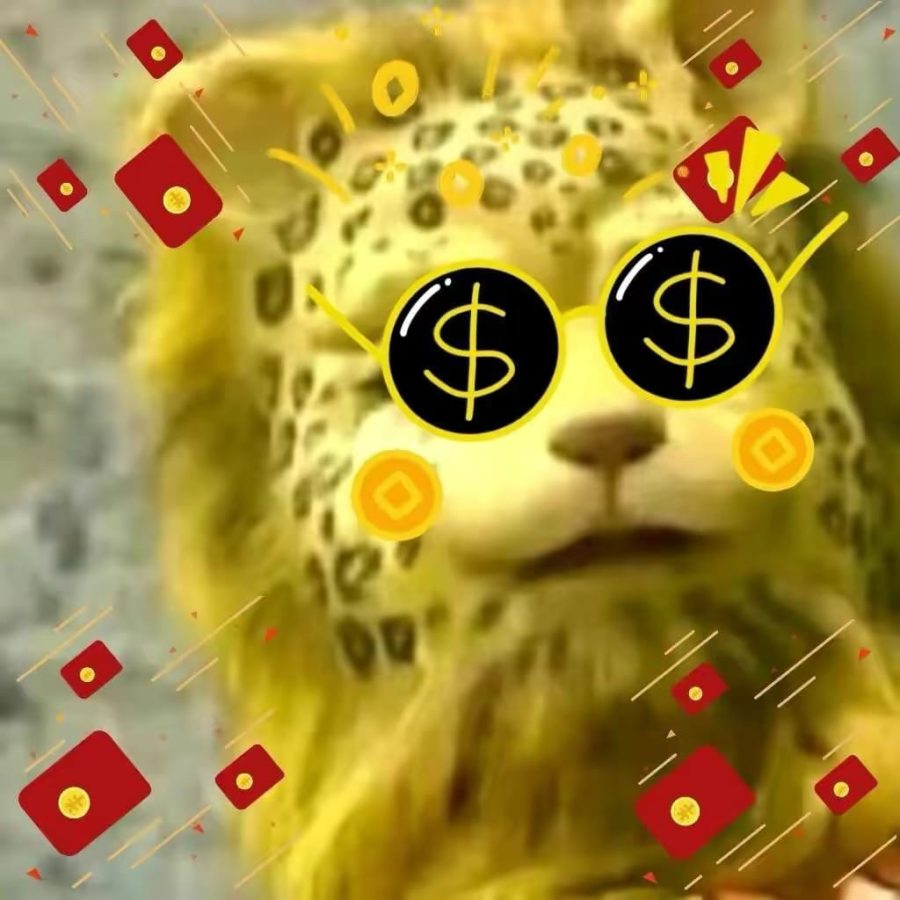 西游记花皮豹子精金钱豹头像，招财微信头像_3