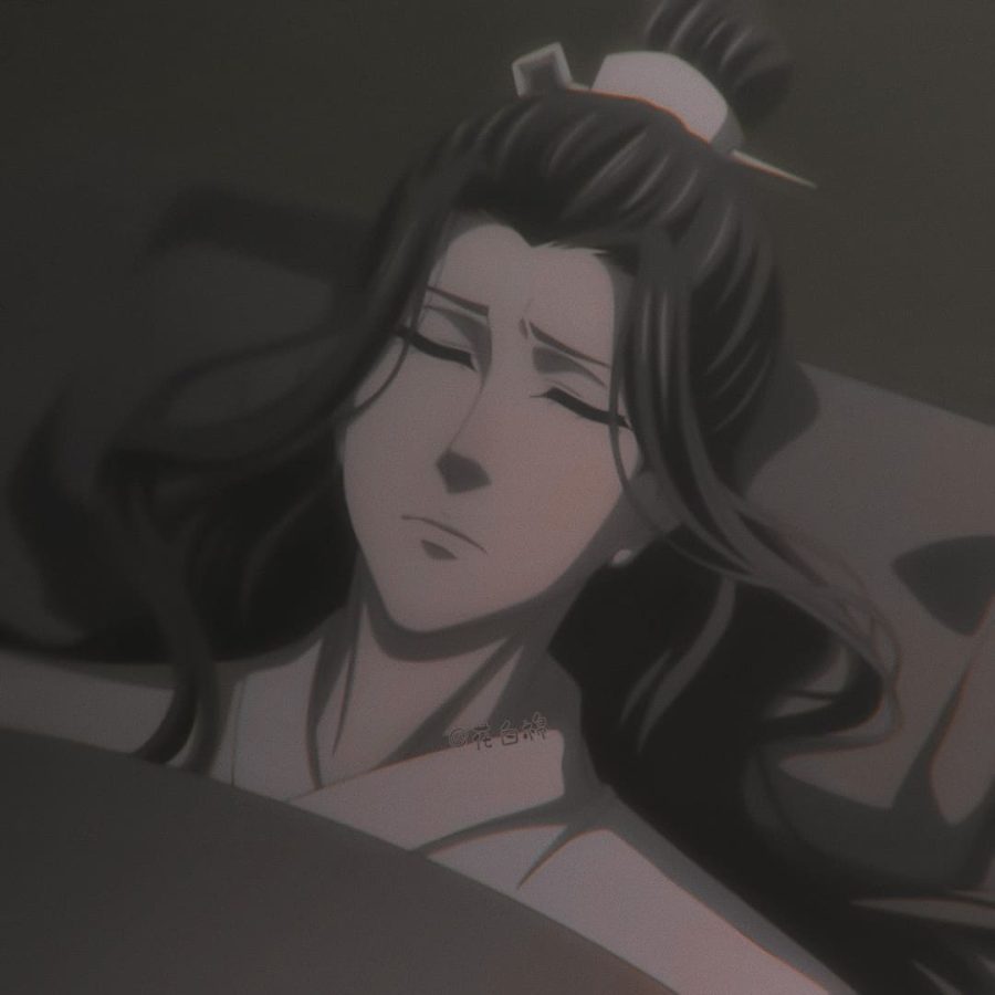 《魔道祖师动画 》 蓝湛/蓝忘机醉酒后睡觉自截头像_1