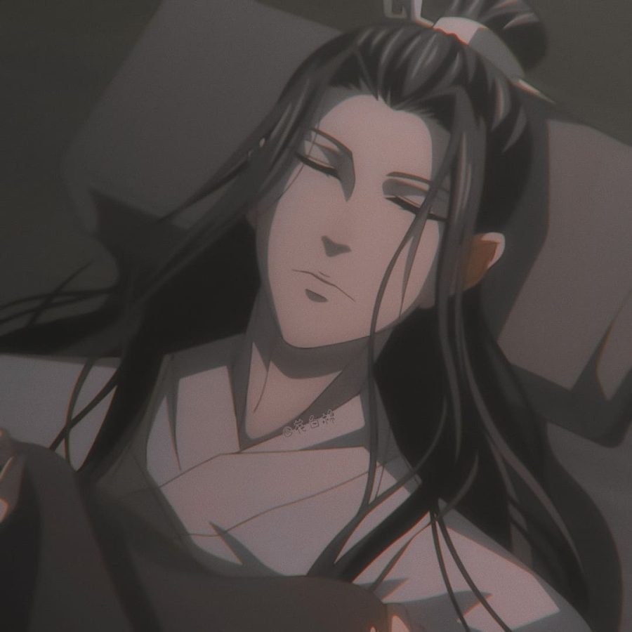 《魔道祖师动画 》 蓝湛/蓝忘机醉酒后睡觉自截头像_2