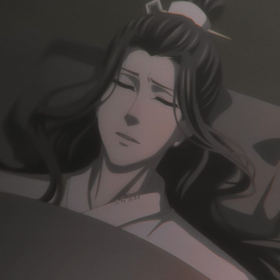 《魔道祖师动画 》 蓝湛/蓝忘机醉酒后睡觉自截头像_8