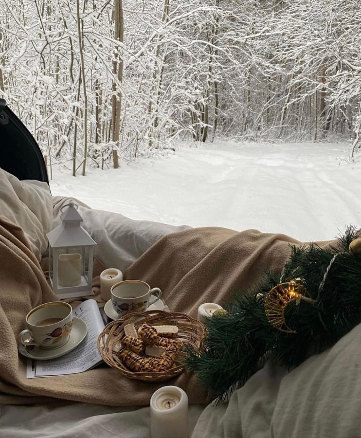 北欧雪中旅行唯美图 壁炉火 户外碰杯就餐 驾车_5