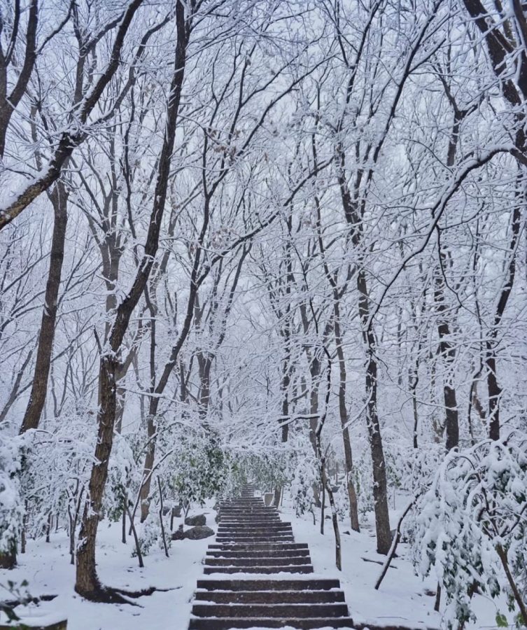 雪中金陵南京雪后美景唯美图_1