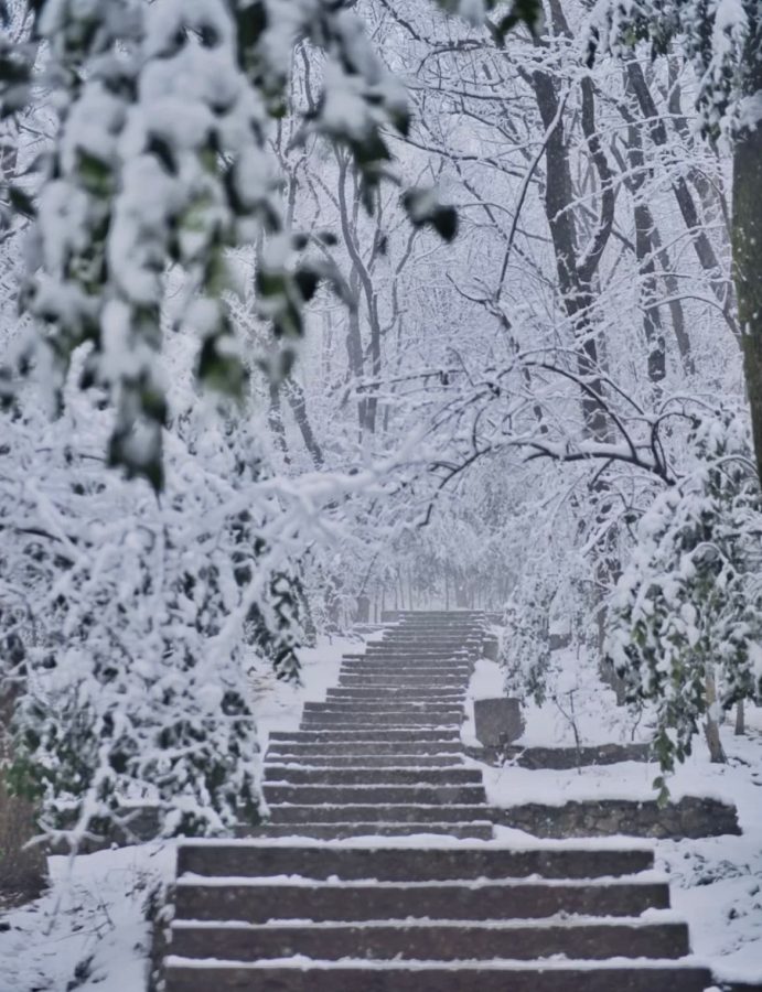 雪中金陵南京雪后美景唯美图_2