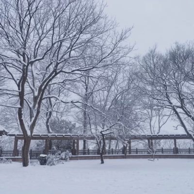 雪中金陵南京雪后美景唯美图