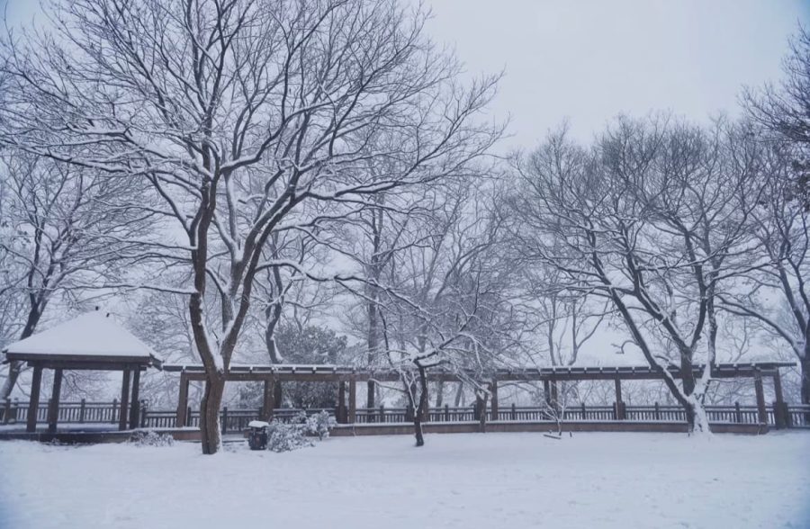 雪中金陵南京雪后美景唯美图_3