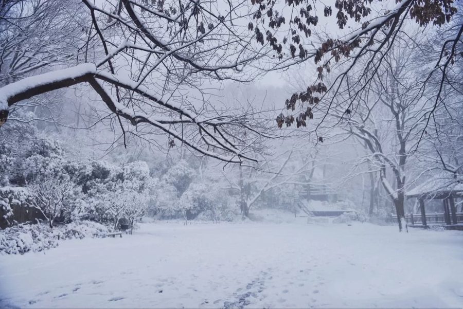 雪中金陵南京雪后美景唯美图_4