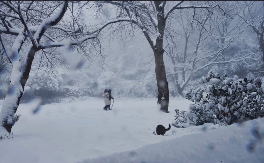雪中金陵南京雪后美景唯美图_5