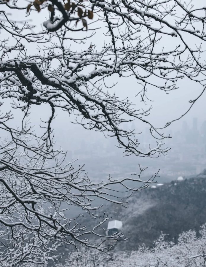 雪中金陵南京雪后美景唯美图_8