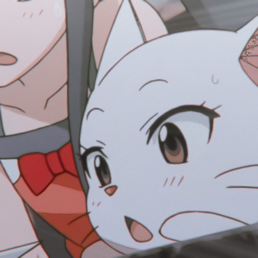 《妖精的尾巴 》夏露露 和温蒂形影不离的可爱猫咪头像_1