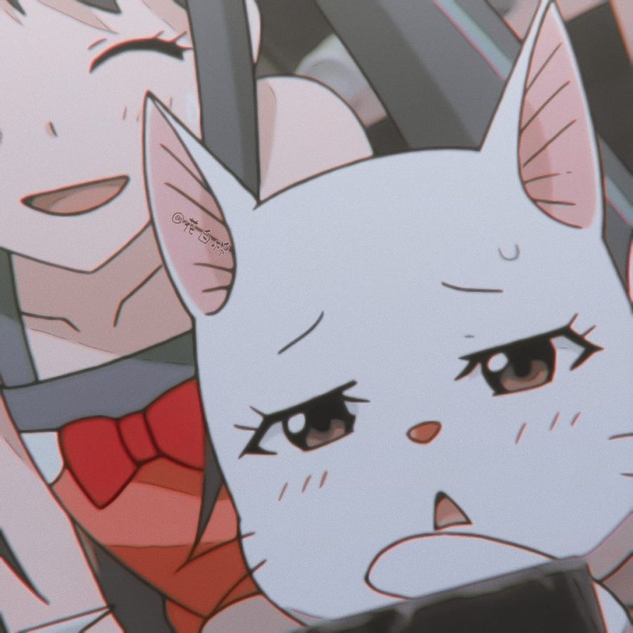 《妖精的尾巴 》夏露露 和温蒂形影不离的可爱猫咪头像_2