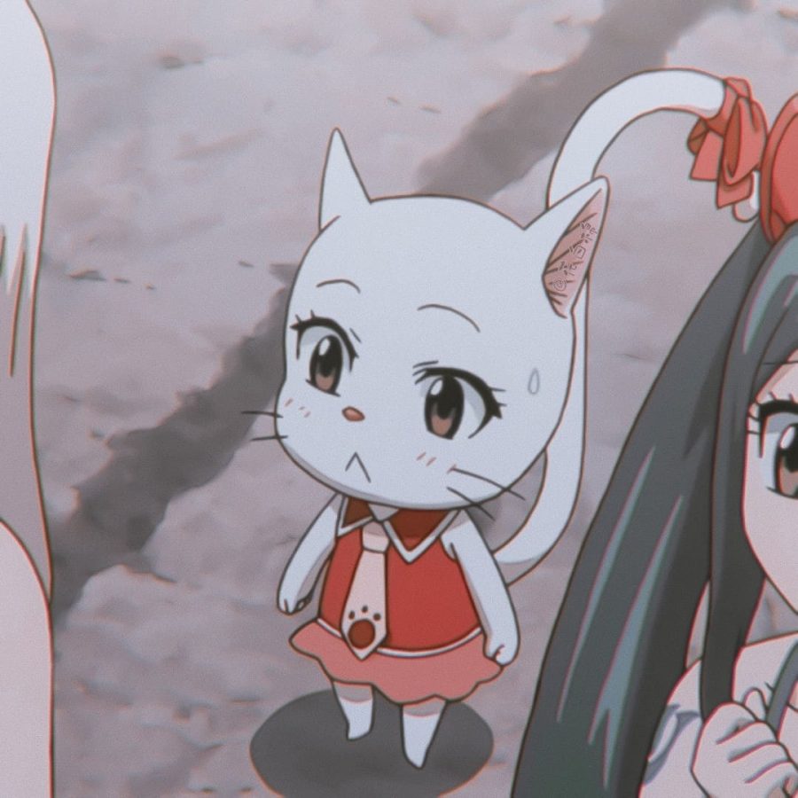 《妖精的尾巴 》夏露露 和温蒂形影不离的可爱猫咪头像_3