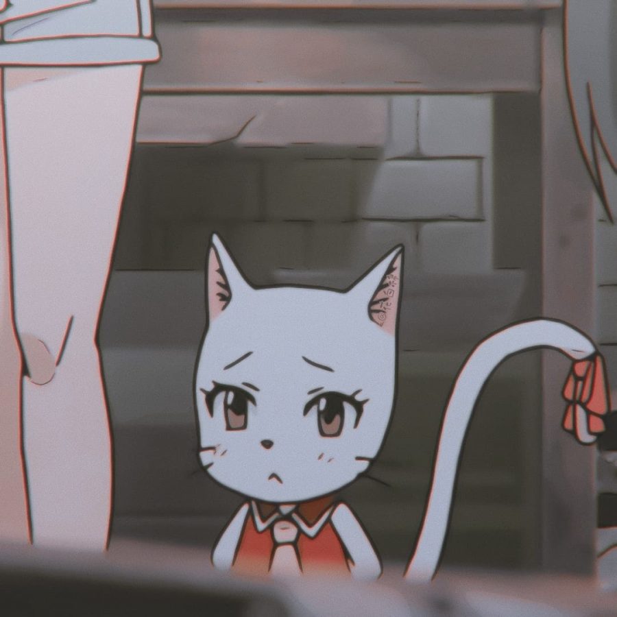 《妖精的尾巴 》夏露露 和温蒂形影不离的可爱猫咪头像_4