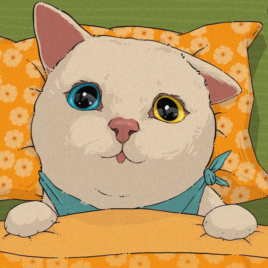 可爱二次元手绘黑猫白猫情侣动物头像_7