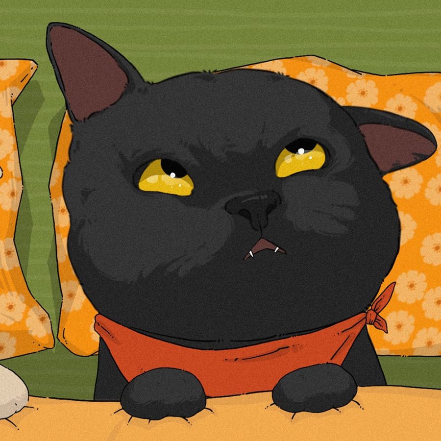 可爱二次元手绘黑猫白猫情侣动物头像_8