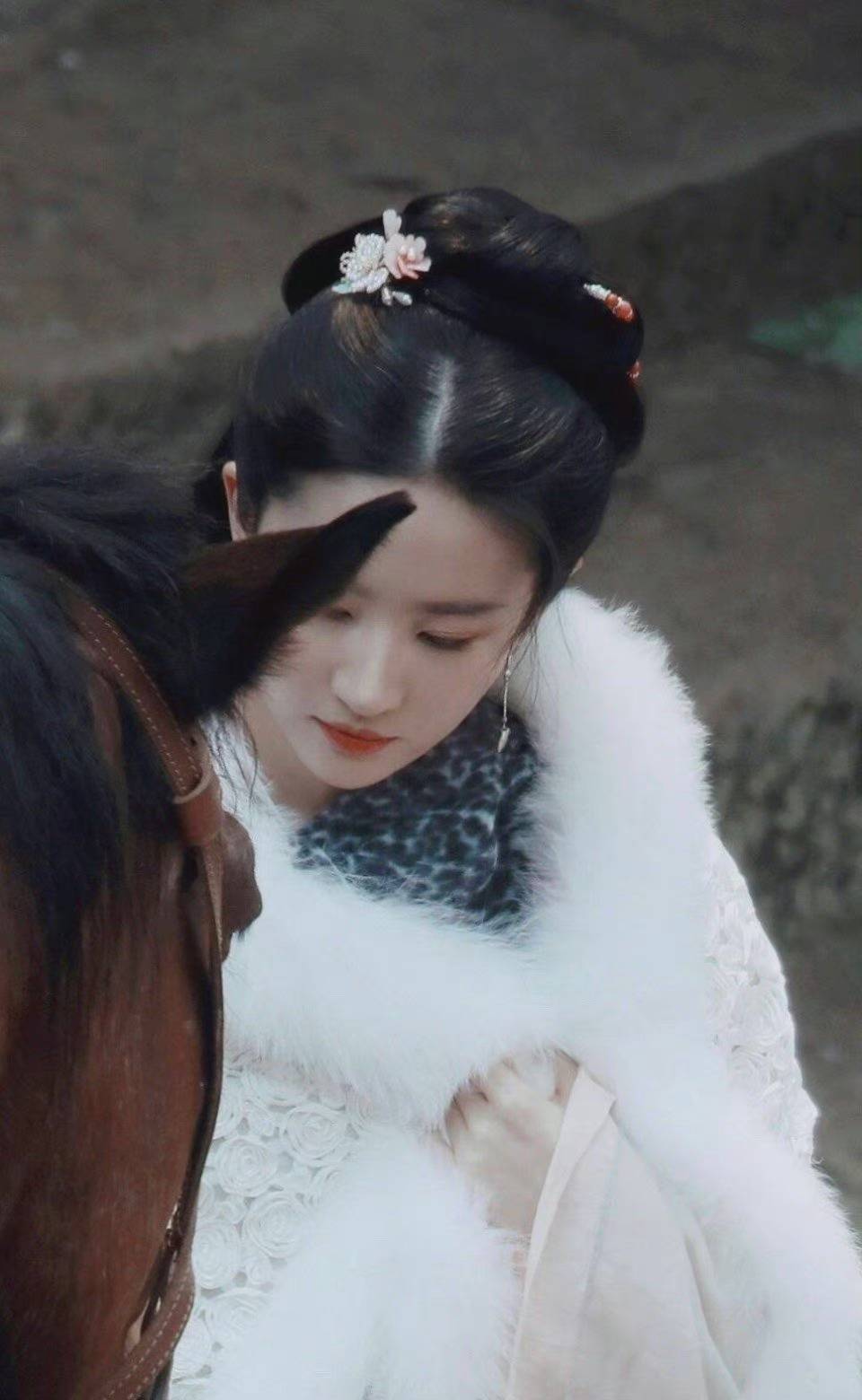 刘亦菲《梦华录》仙女姐姐美剧照_1