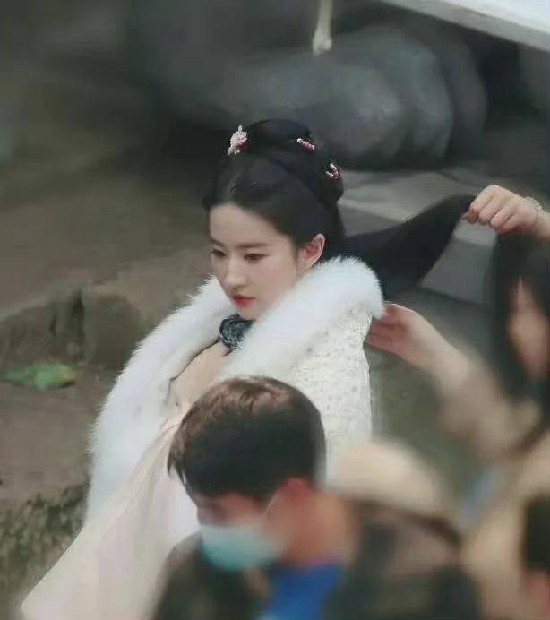 刘亦菲《梦华录》仙女姐姐美剧照_3