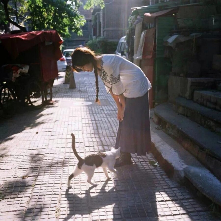 女生搂着猫咪撸猫头像，优质女生头像真人高清抱猫_2
