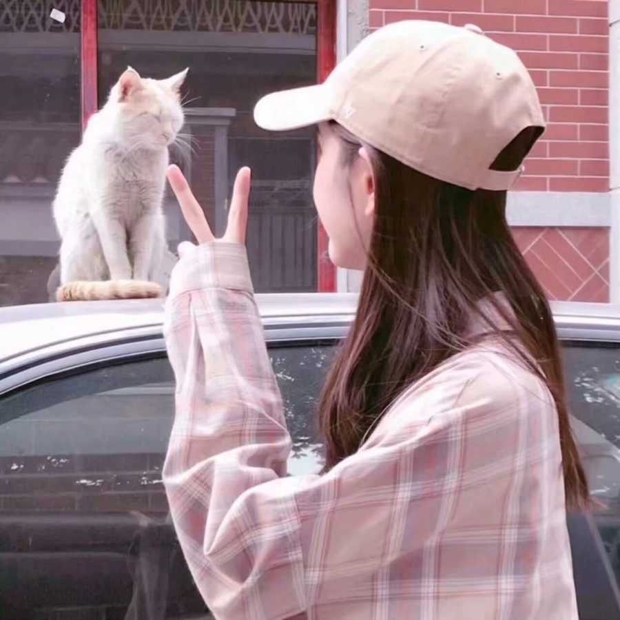 女生搂着猫咪撸猫头像，优质女生头像真人高清抱猫_3