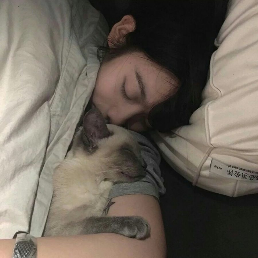 女生搂着猫咪撸猫头像，优质女生头像真人高清抱猫_5