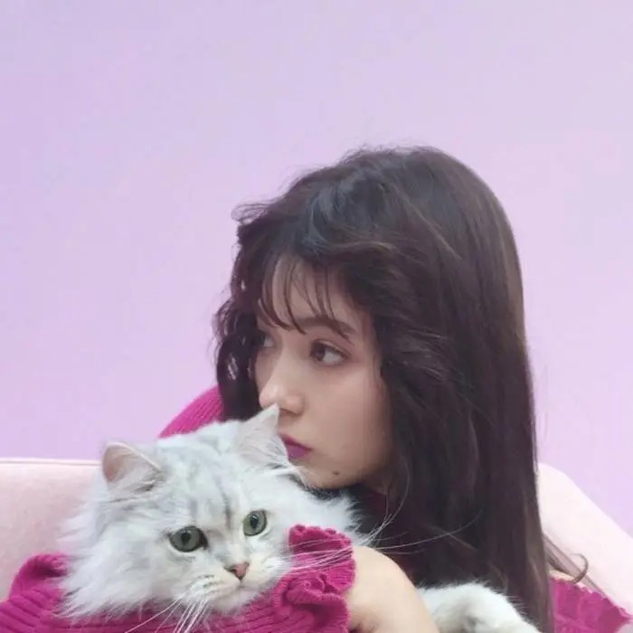 女生搂着猫咪撸猫头像，优质女生头像真人高清抱猫_7