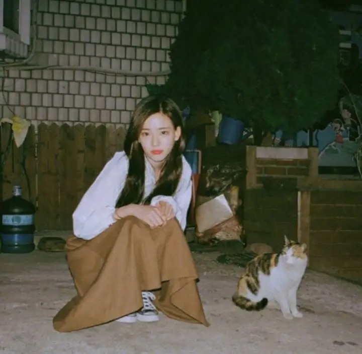 女生搂着猫咪撸猫头像，优质女生头像真人高清抱猫_8